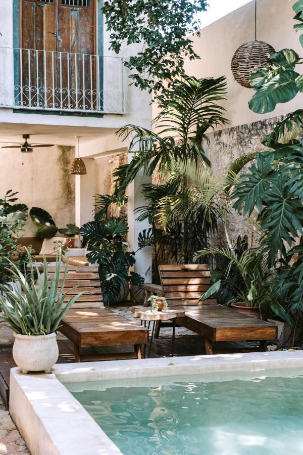 Casa Mezcla - Bed & Breakfast Mérida Eksteriør bilde