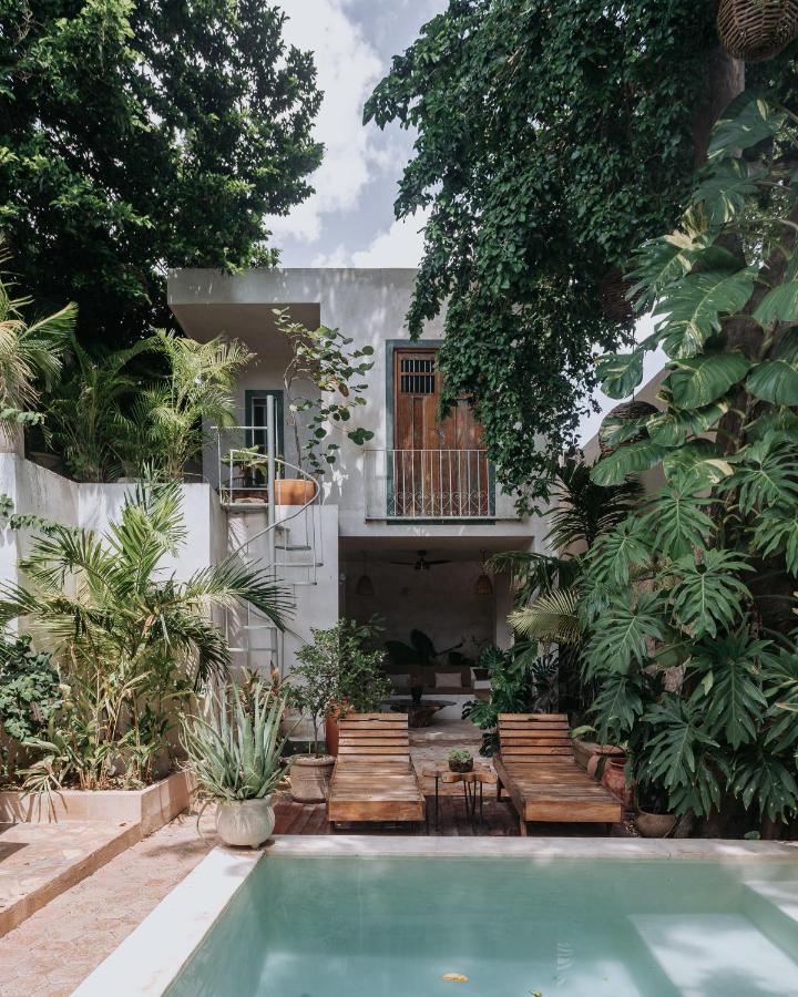 Casa Mezcla - Bed & Breakfast Mérida Eksteriør bilde